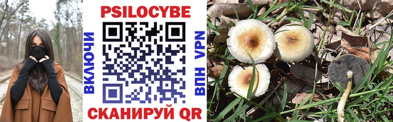 Галлюциногенные грибы MAGIC MUSHROOMS  Купить закладки  Кудымкар 
